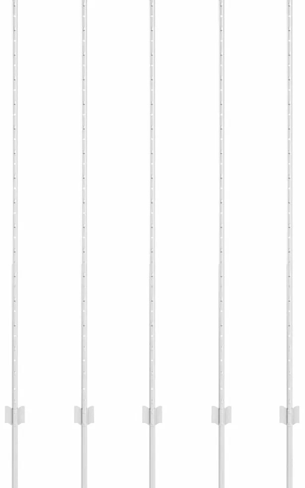 vidaXL Κολώνες Φράχτη 10 pcs Ασημί 160 cm Γαλβανισμένος χάλυβας