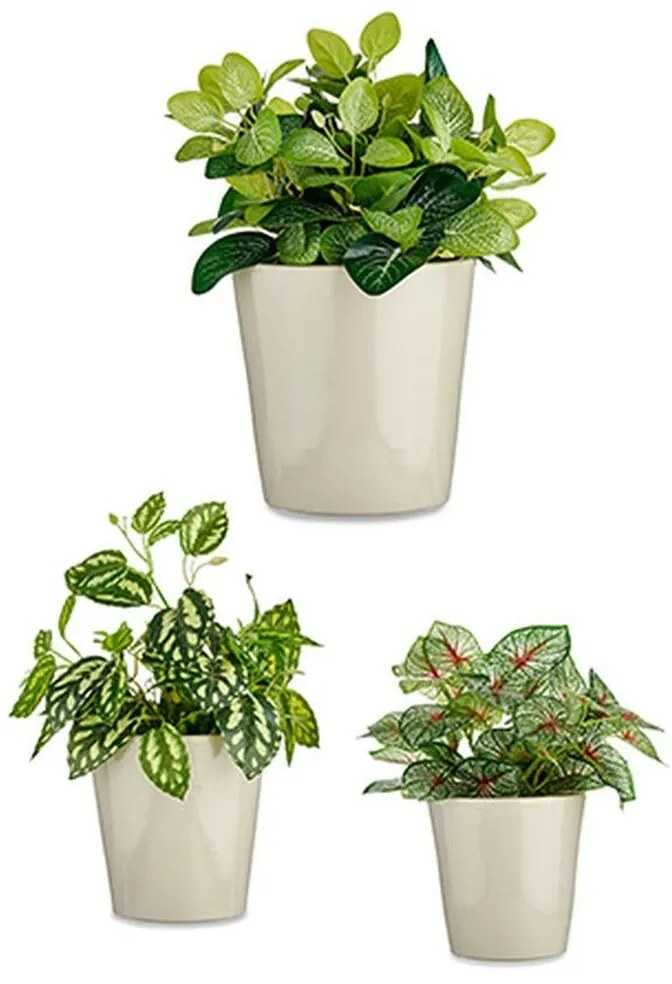 Σετ από Γλάστρες Ibergarden Γκρι Άργιλος Cónica Ø 14 cm Ø 22 cm Ø 17 cm 22,5 x 21 x 22,5 cm 3 Τεμάχια