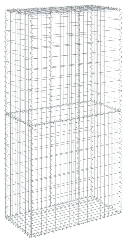 vidaXL Συρματοκιβώτιο με Κάλυμμα 100x50x200εκ. από Γαλβανισμένο Χάλυβα