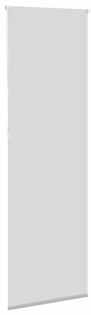 vidaXL Ρολέρ Μπλακάουτ ανοιχτό γκρι 70x210 cm Πλάτος υφάσματος 65,7cm