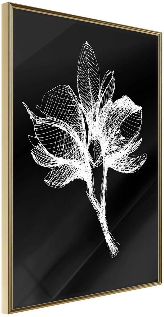 Αφίσα - White Plant - 40x60 - Χρυσό - Χωρίς πασπαρτού