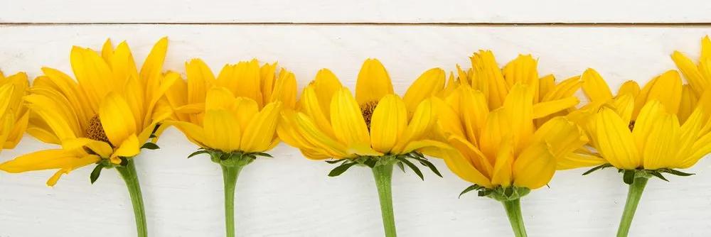 Εικόνα όμορφα κίτρινα λουλούδια - 120x40