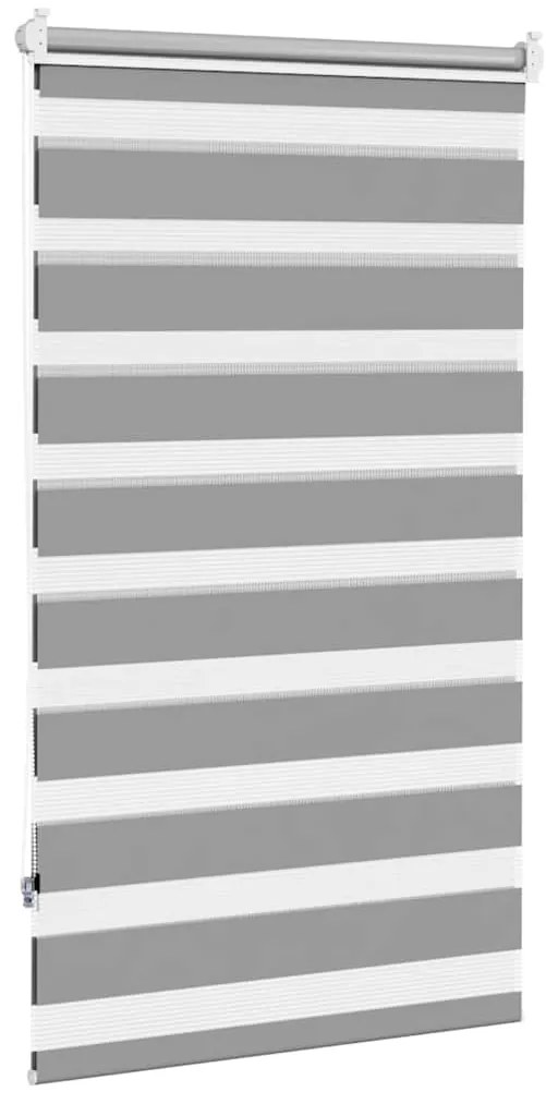 vidaXL Ρόλερ Zebra Γκρι 70 x 120cm