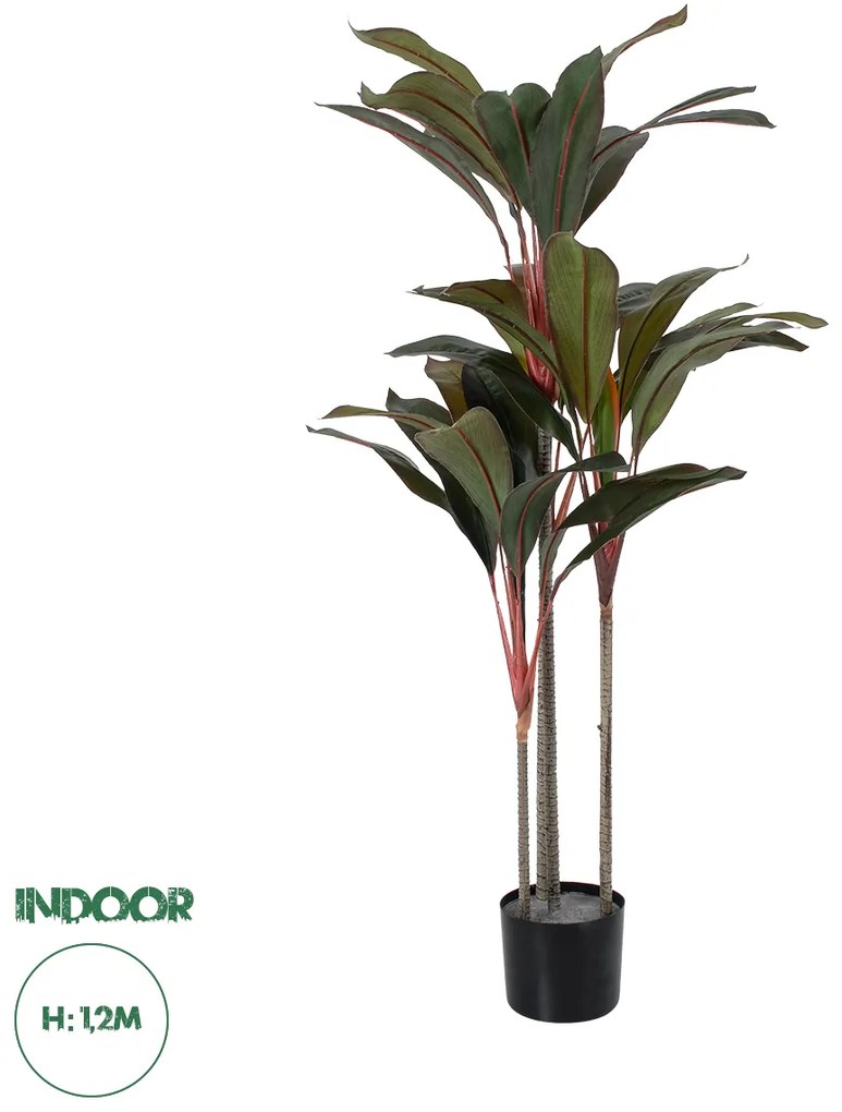 20040 GloboStar®  Artificial Garden MELANY FICUS 20040 Τεχνητό Διακοσμητικό Φυτό Φίκος Υ120cm