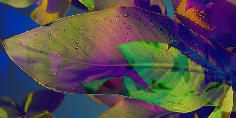 Εικόνα φύλλα πλημμυρισμένα από χρώματα - 100x50