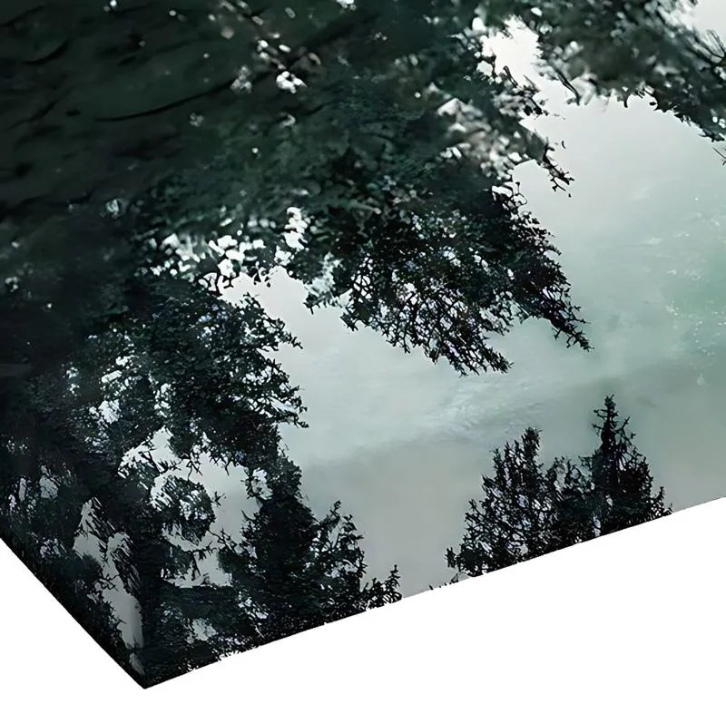 Πίνακας σε Καμβά Siely με Ψηφιακή Εκτύπωση 40x3x60εκ. 40x3x60 εκ.