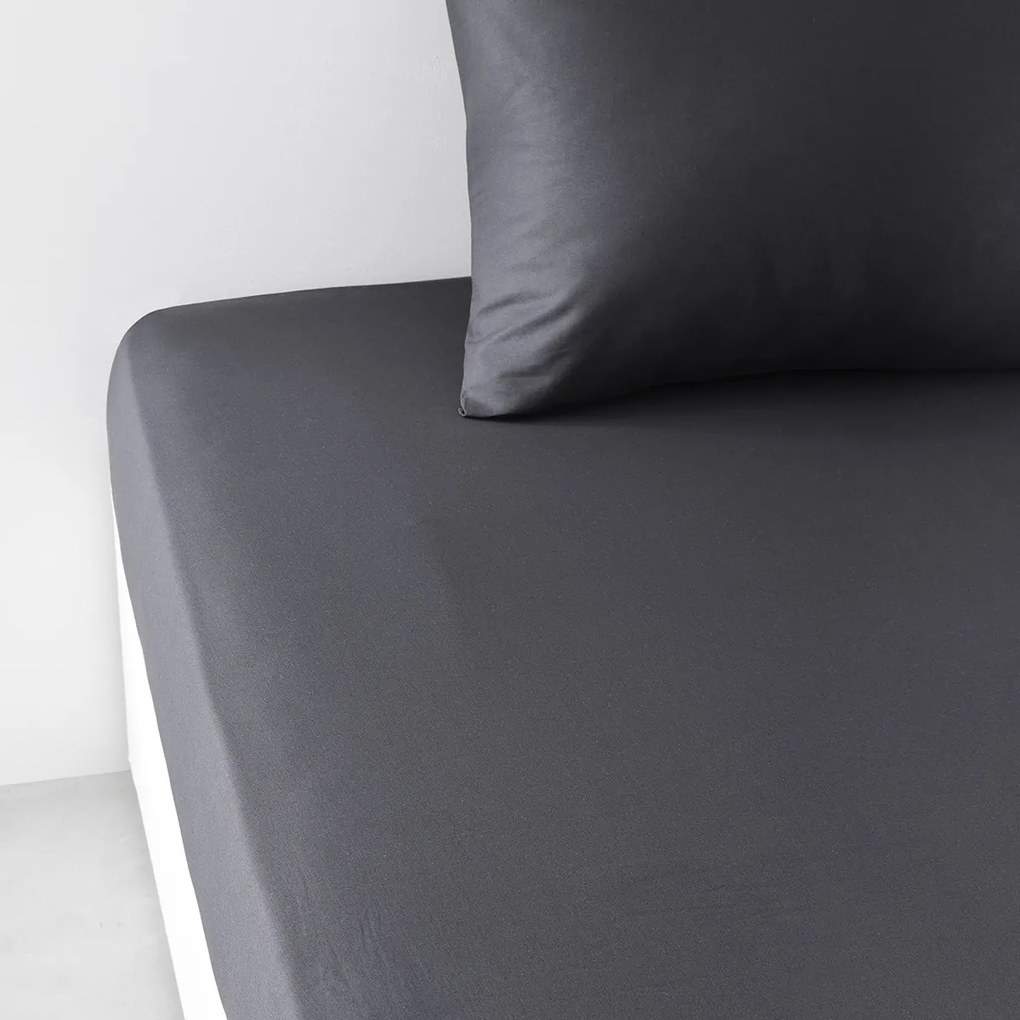 Σεντόνια με λάστιχο Today  DH 160/200+23 Coton TODAY Essential Fusain