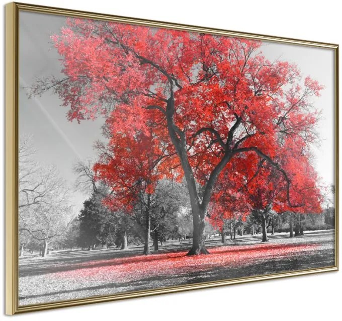 Αφίσα - Red Tree - 30x20 - Χρυσό - Χωρίς πασπαρτού