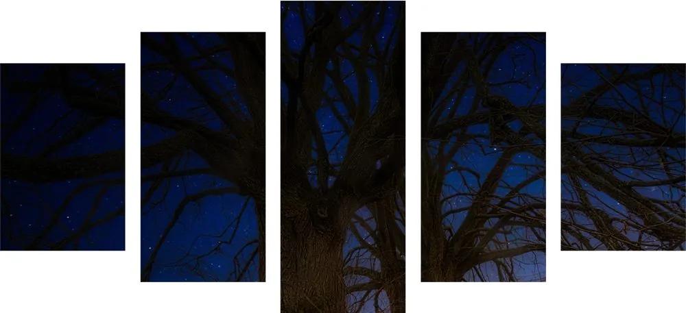 5 μέρη εικόνα δέντρα στο νυχτερινό τοπίο
