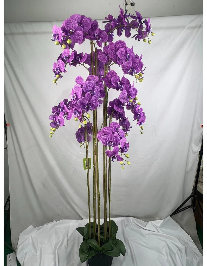 Supergreens Τεχνητό Φυτό Ορχιδέα Phalaenopsis Μωβ 180 εκ.