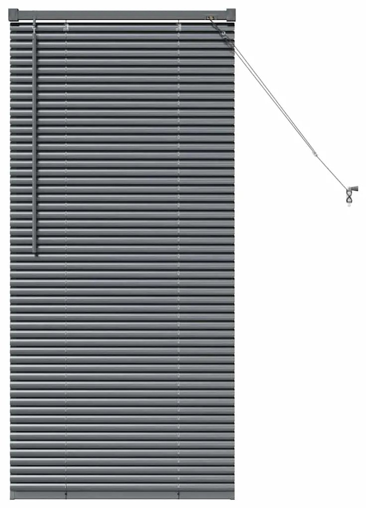 vidaXL Ρολό Παραθύρου με κουρτίνες Σκούρο γκρι Αλουμίνιο