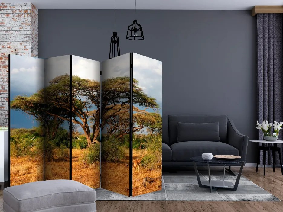 Διαχωριστικό με 5 τμήματα - Samburu National Reserve, Kenya II [Room Dividers]