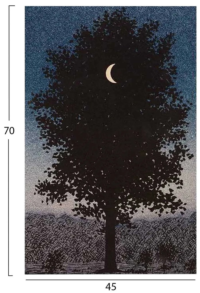 ΠΙΝΑΚΑΣ TOIXOY ΣΕΙΡΑ GOBI HM4850 ΕΚΤΥΠΩΜΕΝΟΣ ΚΑΜΒΑΣ 45x3(πάχος)x70Yεκ.