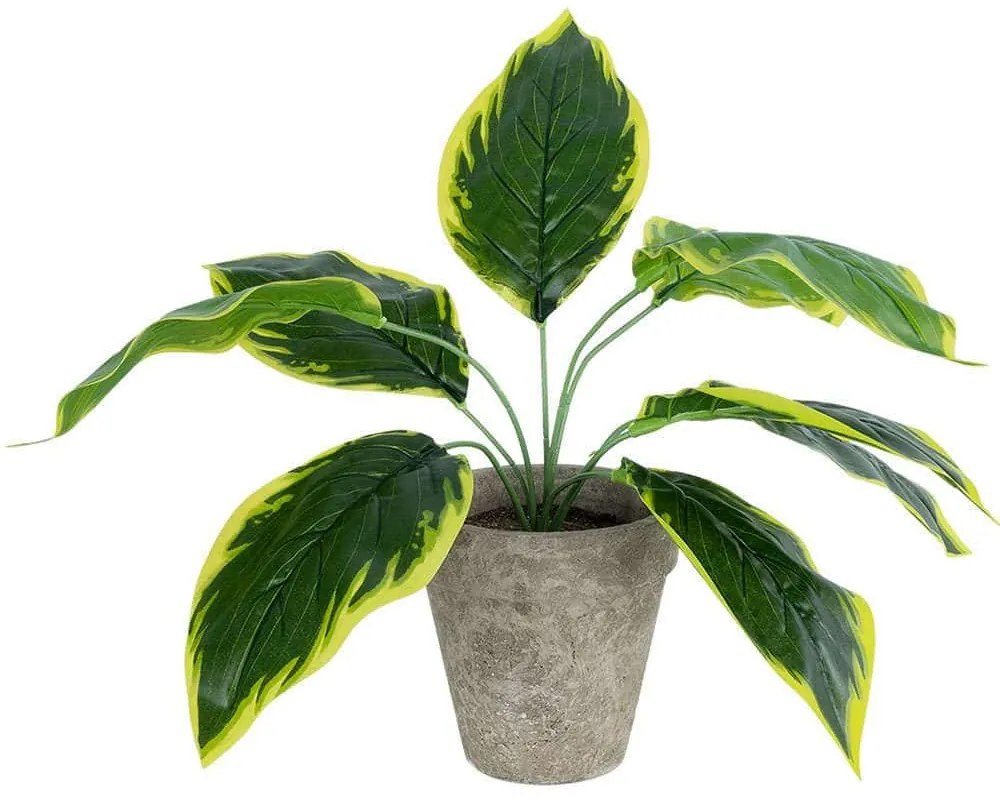 Τεχνητό Φυτό Σε Κασπώ Hosta 20899 Φ45x40cm Multi GloboStar Τσιμέντο,Ύφασμα