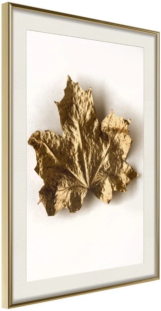 Αφίσα - Dried Maple Leaf - 20x30 - Χρυσό - Με πασπαρτού