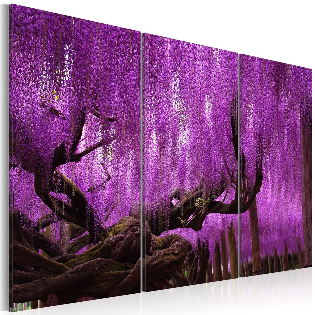 Πίνακας - Wisteria 90x60