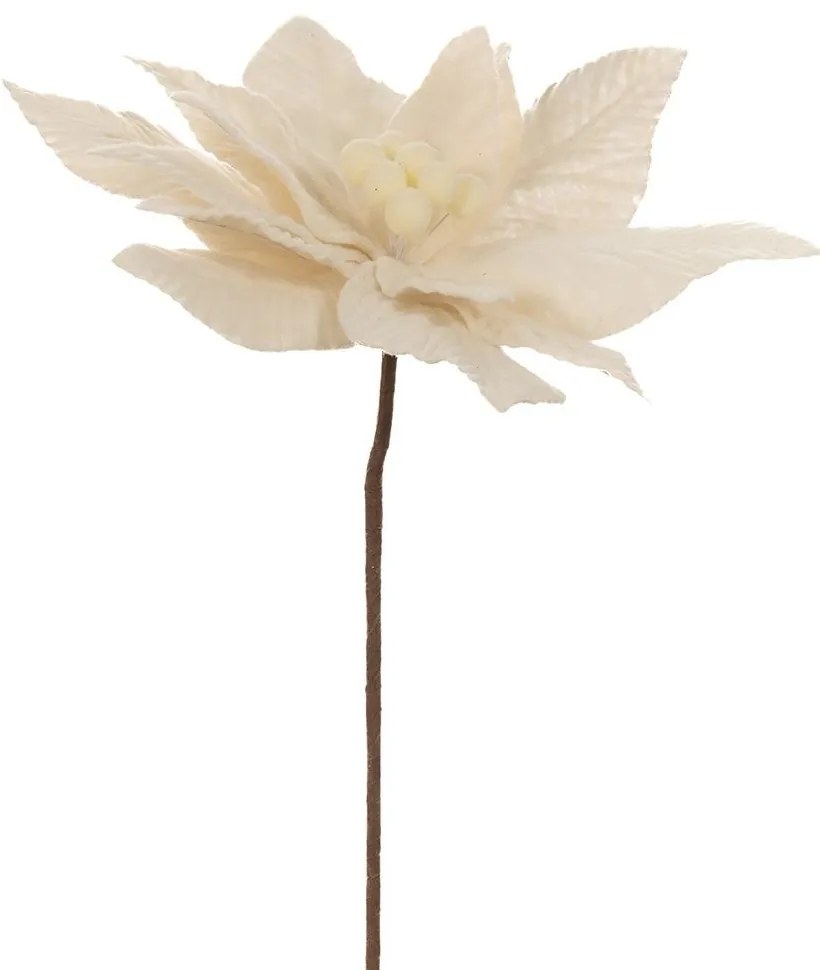 Κλαδί Πικ Αλεξανδρινό 86319 30x50cm White