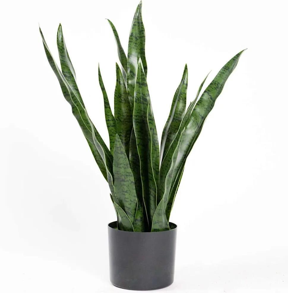 Τεχνητό Φυτό Σανσεβιέρια Robusta 0980-6 70cm Green Supergreens Πολυαιθυλένιο