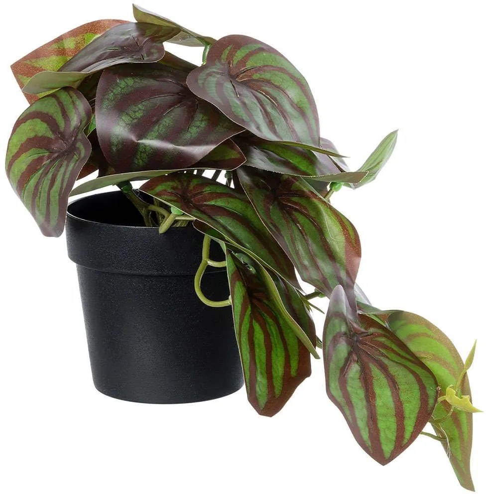 Τεχνητό Φυτό Peperomia 20952 Φ23x16cm Green-Brown GloboStar Πολυαιθυλένιο,Ύφασμα