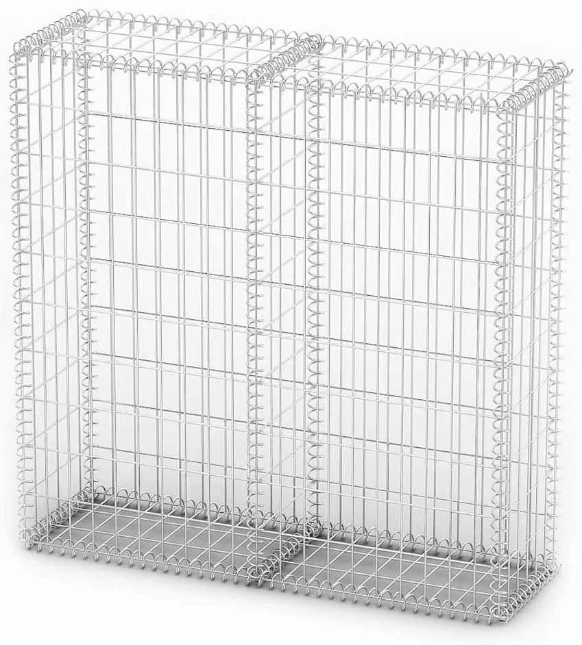 vidaXL Συρματοκιβώτιο 100 x 100 x 30 εκ. Γαλβανισμένο Σύρμα με Καπάκια