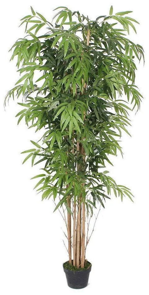 Τεχνητό Δέντρο Μπαμπού Lucky 0430-6 70x180cm Green Supergreens Fabric,Bamboo