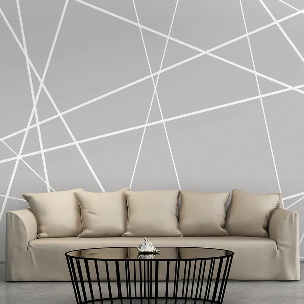 Φωτοταπετσαρία - Modern Cobweb 250x175