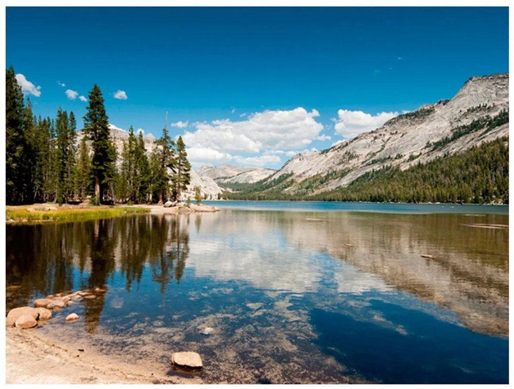 Φωτοταπετσαρία - Tenaya Lake - Yosemite National Park 200x154