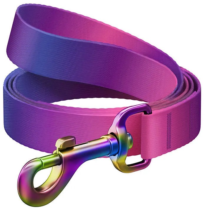 Nylon dog leash WAUDOG gradient, w. 15 mm, lgth. 122cm, purple