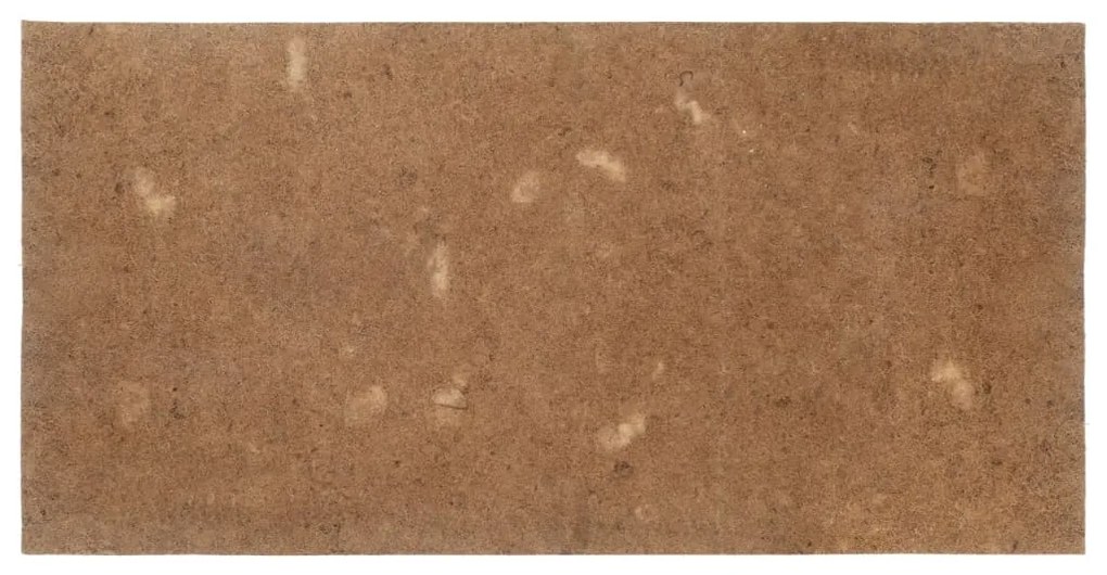 vidaXL Επίστρωμα 90 x 200 εκ. από Κοκοφοίνικα