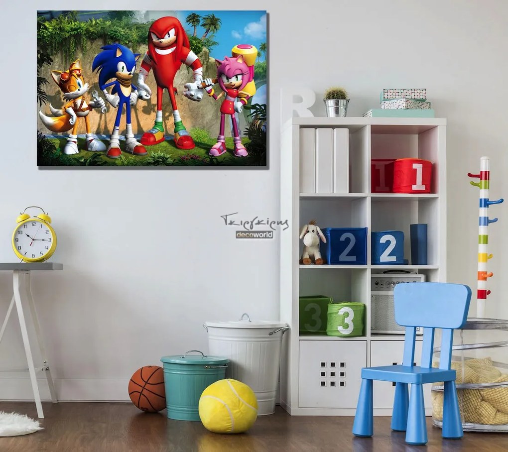 Παιδικός πίνακας σε καμβά Σόνικ KNV022 65cm x 95cm