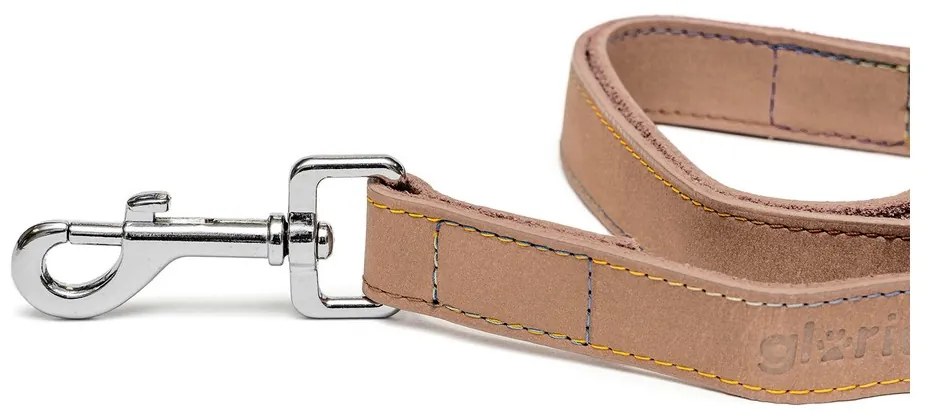 Λουρί Σκύλου Gloria Oasis 3 x 60 cm Λευκό