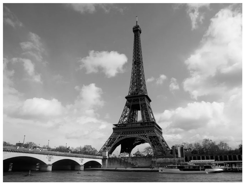 Φωτοταπετσαρία - Seine and Eiffel Tower 250x193