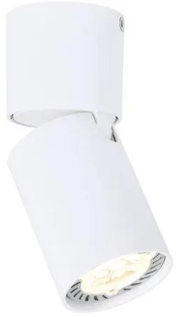 Σποτ Φωτιστικό Οροφής ELITIS Φ5,5XH13CM GU10 ACA-RA301S6WH-Λευκό RA301S6WH