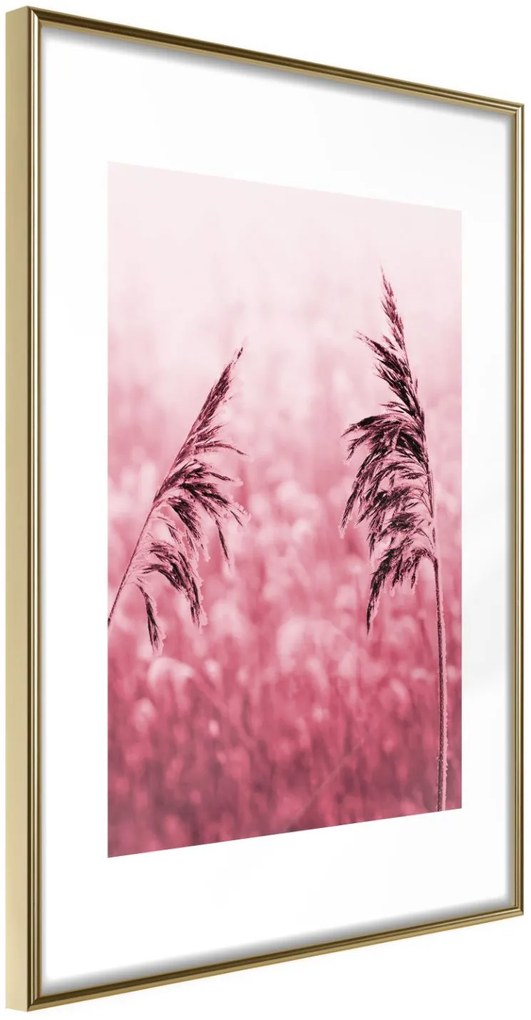 Αφίσα - Amaranth Meadow - 20x30 - Χρυσό - Χωρίς πασπαρτού