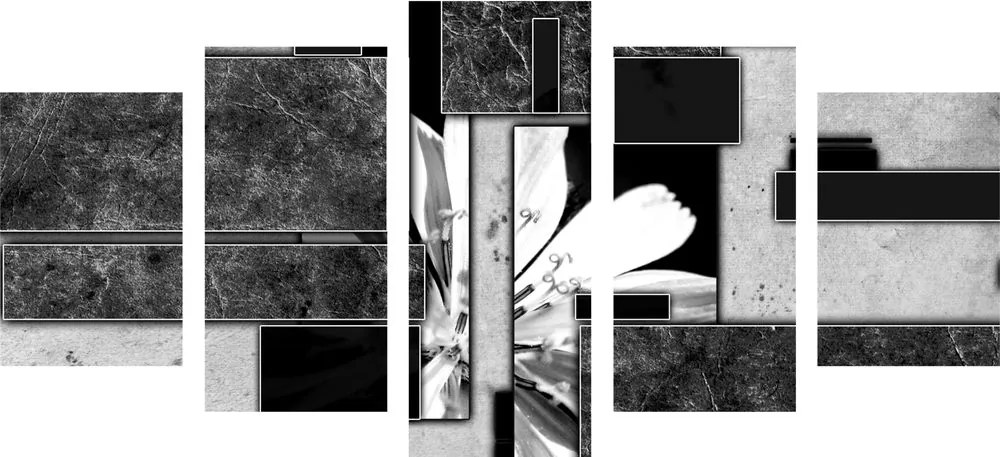 Αφαίρεση λουλουδιών 5 μερών σε μαύρο & άσπρο