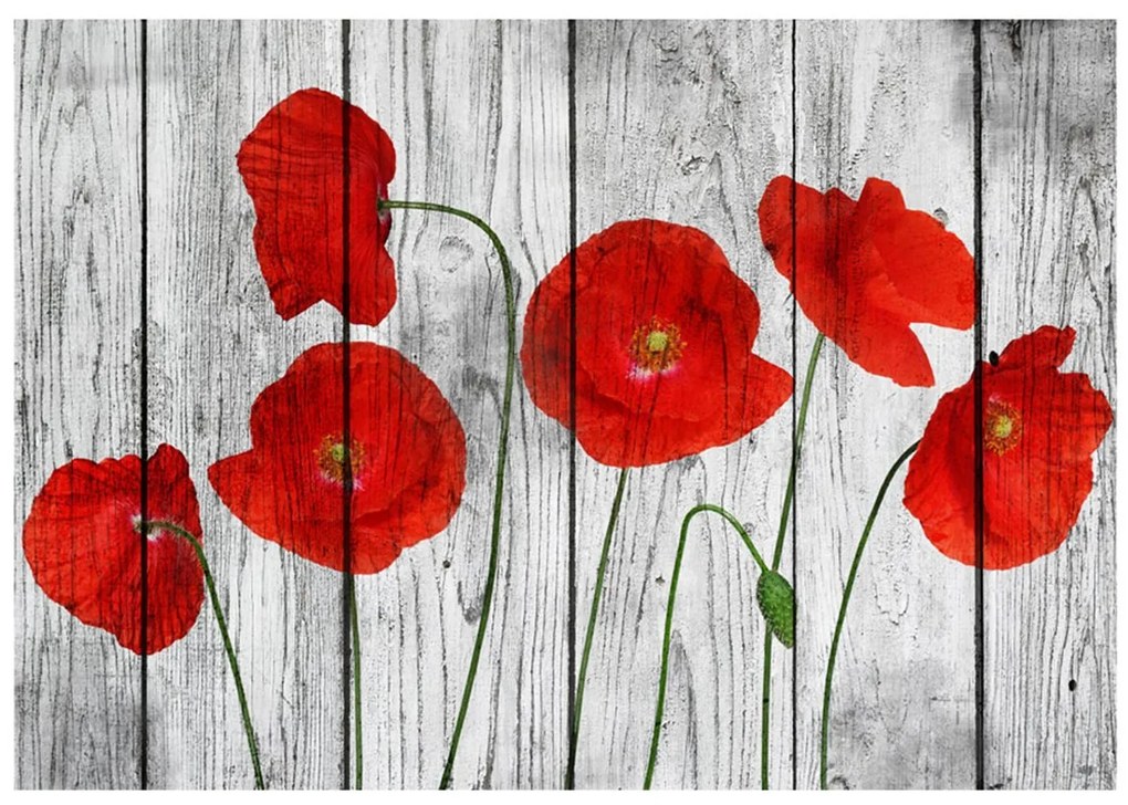 Φωτοταπετσαρία - Tale of Red Poppies 200x140