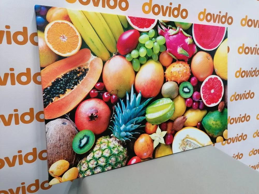 Εικόνα τροπικά φρούτα - 60x40