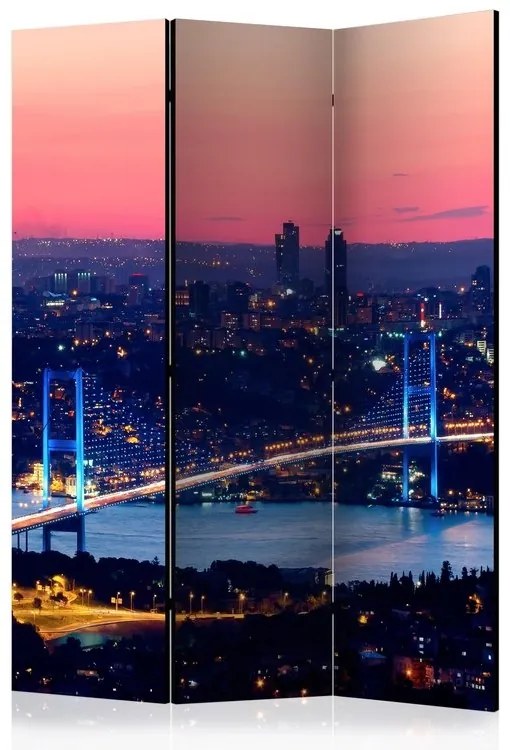 Διαχωριστικό με 3 τμήματα - Bosphorus Bridge [Room Dividers]