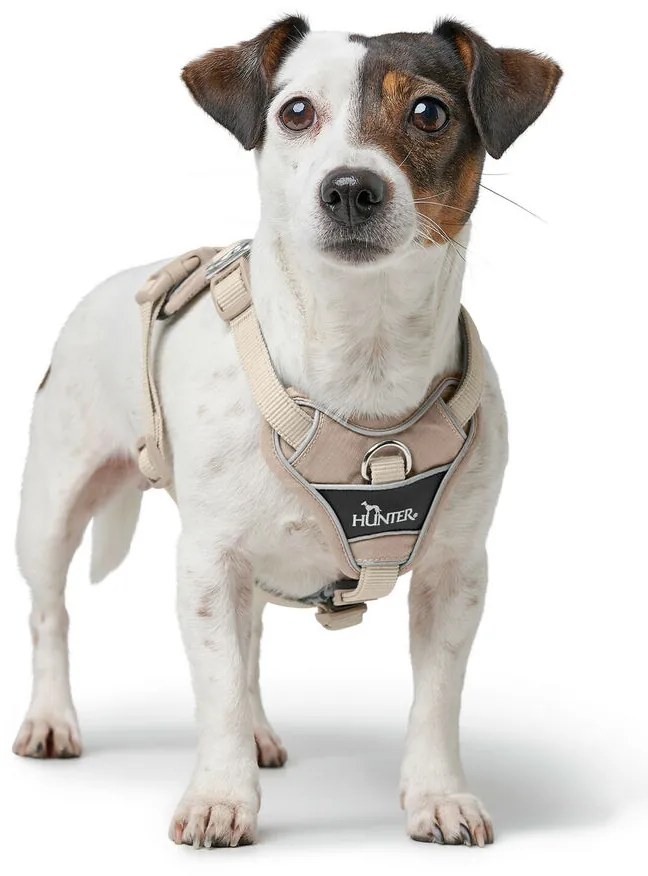 Λουρί Σκύλου Hunter DIVO UP Μπεζ L/XL