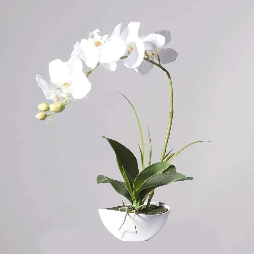 Τεχνητό Φυτό Ορχιδέα Με Κασπώ 8170-6 31x15x50cm White Supergreens Πολυαιθυλένιο