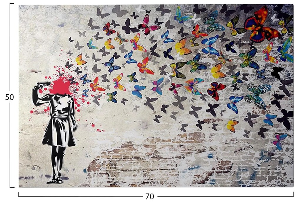 Πίνακας Τοίχου Σειρά GOBI C4820 Εκτυπωμένος Καμβάς 70x3(πάχος)x50Yεκ. 70x3x50 εκ.