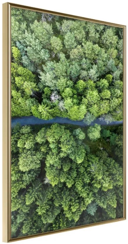 Αφίσα - Forest from a Bird's Eye View - 20x30 - Χρυσό - Χωρίς πασπαρτού