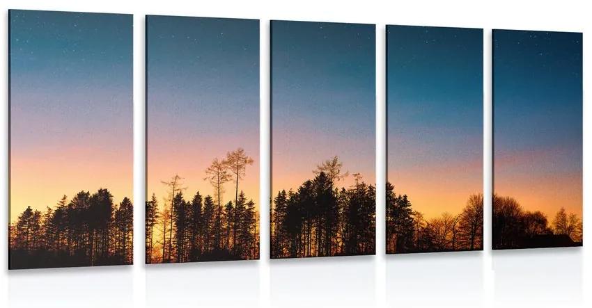 Δάσος με εικόνα 5 μερών καλυμμένο στο σκοτάδι - 100x50