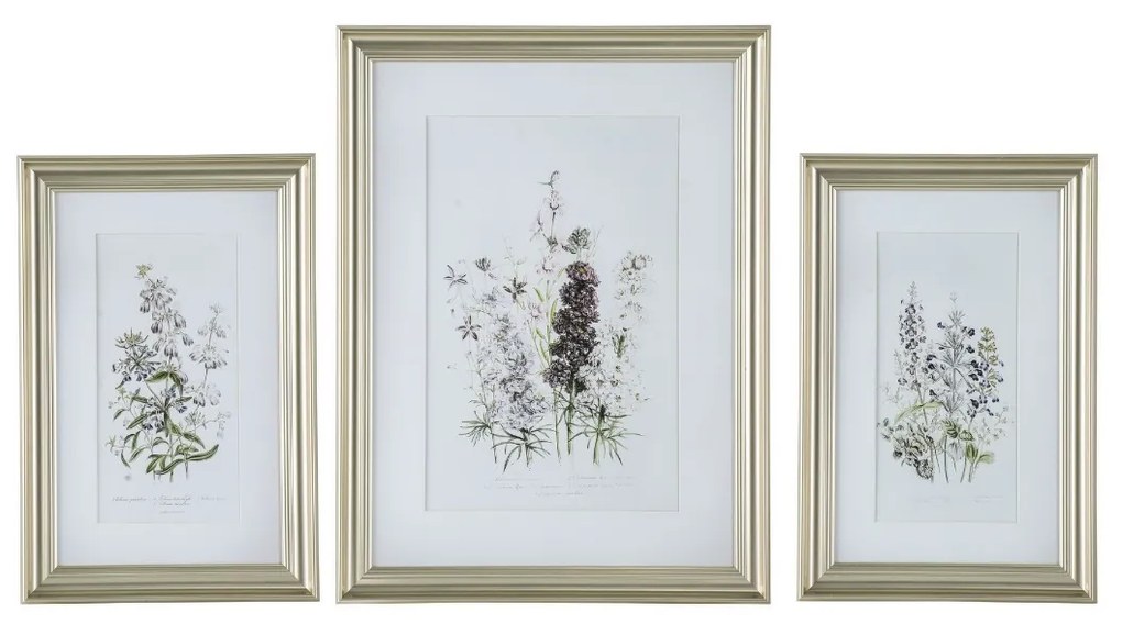Artekko Botanical Πίνακας με Κορνίζα Πλαστικό Γυαλί Λευκό Χρυσό (60x3x80)cm Σετ/3 Artekko SM49952