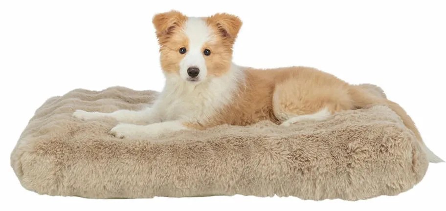 Μαξιλάρι για Σκύλο Trixie Elli Άμμο 80 x 60 cm