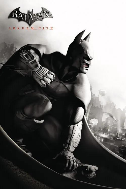 Εκτύπωση τέχνης Batman Arkham City, (26.7 x 40 cm)