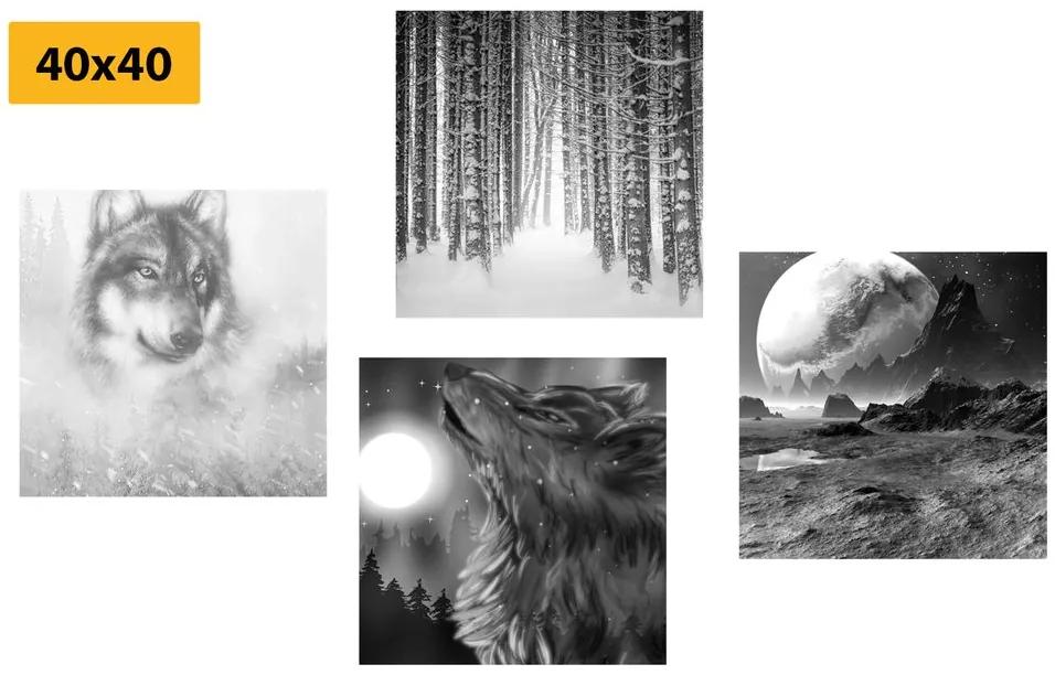 Σετ εικόνων μυστηριώδης λύκος σε μαύρο & άσπρο - 4x 60x60