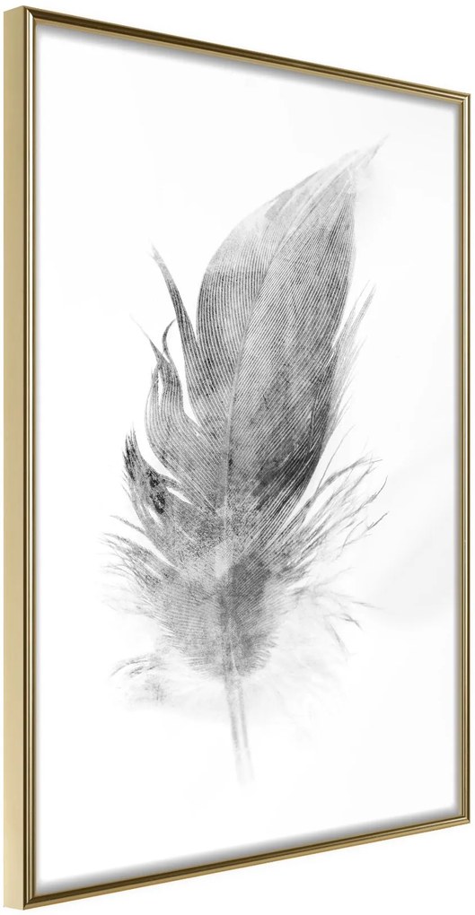 Αφίσα - Lost Feather (Grey) - 20x30 - Χρυσό - Χωρίς πασπαρτού