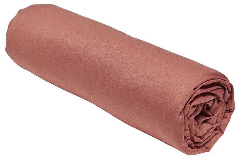 Σεντόνια με λάστιχο Today  DH 140/190+23 Coton TODAY Essential Terracotta