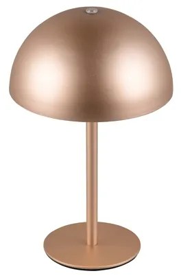 Φωτιστικό Επιτραπέζιο Reality Lighting -RL MUNOZ R54891165 Καφετί (Coffee) 3000K